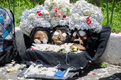 Die drei toten Könige lizenzfreies stockbild Die drei toten Könige lizenzfreies stockbild