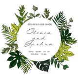Die Hochzeits-Einladung, mit Blumen laden danken Ihnen, rsvp modernem Karte Design ein: grünes tropisches Palmblattgrün stock abbildung Die Hochzeits-Einladung, mit Blumen laden danken Ihnen, rsvp modernem Karte Design ein: grünes tropisches Palmblattgrün stock abbildung