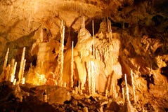 DIE HÖHLE DER BÄREN gelegen in den West-Apuseni-Bergen stockbilder DIE HÖHLE DER BÄREN gelegen in den West-Apuseni-Bergen stockbilder