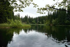 Die kleine Insel im Mitte Vrbicke See in Demanovska-Tal lizenzfreie stockfotos Die kleine Insel im Mitte Vrbicke See in Demanovska-Tal lizenzfreie stockfotos