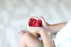 Die kleinen Hände halten das Bündel von Himbeeren in den Händen stockbilder Die kleinen Hände halten das Bündel von Himbeeren in den Händen stockbilder