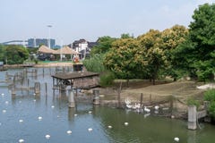 Die ländliche Landschaft des landwirtschaftlichen Gartens stockfoto Die ländliche Landschaft des landwirtschaftlichen Gartens stockfoto