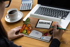 Die nahrhafte LANDWIRTSCHAFTS-GESUNDE ERNÄHRUNG isst Lebensmittel gesundes natürliches F stockfotos Die nahrhafte LANDWIRTSCHAFTS-GESUNDE ERNÄHRUNG isst Lebensmittel gesundes natürliches F stockfotos