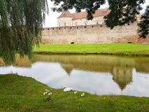 Die Reflexion der Festung im Wasser des Verteidigungsabzugsgrabens und eine Familie von Schwänen lizenzfreies stockfoto Die Reflexion der Festung im Wasser des Verteidigungsabzugsgrabens und eine Familie von Schwänen lizenzfreies stockfoto