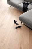 Die Schuhe und die Kleidung der Frauen, die vor einem Sofa liegen Stockfoto Die Schuhe und die Kleidung der Frauen, die vor einem Sofa liegen Stockfoto