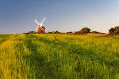 Die schöne Halnaker-Windmühle stockfoto Die schöne Halnaker-Windmühle stockfoto