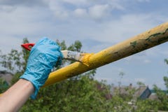 Dien een blauwe werkende handschoen in houdt een borstel en schildert een metaalpijp in openlucht in gele kleur stock fotografie Dien een blauwe werkende handschoen in houdt een borstel en schildert een metaalpijp in openlucht in gele kleur stock fotografie