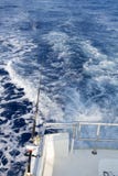 Diepzeestaaf en spoel die van boot vissen Royalty-vrije Stock Afbeeldingen Diepzeestaaf en spoel die van boot vissen Royalty-vrije Stock Afbeeldingen