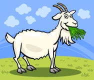 Dierlijke het beeldverhaalillustratie van het geitlandbouwbedrijf vector illustratie Dierlijke het beeldverhaalillustratie van het geitlandbouwbedrijf vector illustratie
