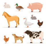Different domestic animals on farm. Geese, ducks, hens chickens and cattle. Vector illustrations set stock illustration Different domestic animals on farm. Geese, ducks, hens chickens and cattle. Vector illustrations set stock illustration