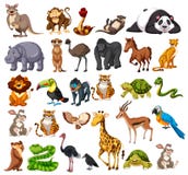 Set Of Different Types Of Animals Stock Vector - Illustration of