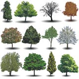 Different Vector Trees Royalty Free Stock Photos