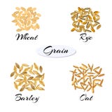Différents types de texture Illustration Stock Différents types de texture Illustration Stock
