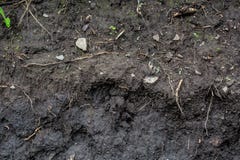 Dirty soil underground side view stock photo Dirty soil underground side view stock photo