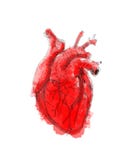 Digital drawing line art of human heart