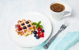 Dillandeefterrätt med bärfrukt Arkivfoto Dillandeefterrätt med bärfrukt Arkivfoto
