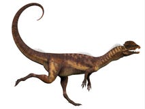 Majungasaurus Dinosaur, Photorealistic Representation. Side View Stock Images - Image: 37032574