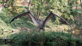 Dino Park Dinosaur image stock Dino Park Dinosaur image stock