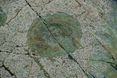 Dinosaur footprints on the rock at Goseong dinosaur museum, Sout royalty free stock photo Dinosaur footprints on the rock at Goseong dinosaur museum, Sout royalty free stock photo