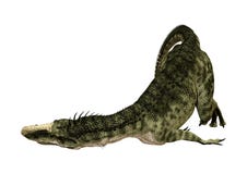 Dinosaurier Monolophosaurus der Wiedergabe-3D auf Weiß Lizenzfreie Stockfotografie Dinosaurier Monolophosaurus der Wiedergabe-3D auf Weiß Lizenzfreie Stockfotografie