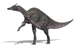 Dinosauro di Saurolophus royalty illustrazione gratis Dinosauro di Saurolophus royalty illustrazione gratis
