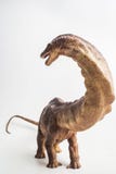 Dinosaurus, Apatosaurus op witte achtergrond stock foto's Dinosaurus, Apatosaurus op witte achtergrond stock foto's