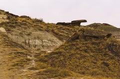 Dinosaurus Provinciaal Park, Alberta, Canada stock afbeelding Dinosaurus Provinciaal Park, Alberta, Canada stock afbeelding