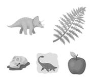 Dinossauro do mar, triceratops, planta pré-histórica, crânio humano Dinossauro e ícones ajustados da coleção do período pré-histó ilustração royalty free Dinossauro do mar, triceratops, planta pré-histórica, crânio humano Dinossauro e ícones ajustados da coleção do período pré-histó ilustração royalty free