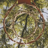 Directement au-dessous du tir d'un cercle de basket-ball sur le fond vert de feuilles images libres de droits Directement au-dessous du tir d'un cercle de basket-ball sur le fond vert de feuilles images libres de droits