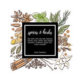 Dirigez l'illustration avec des épices et des herbes et label noir illustration de vecteur Dirigez l'illustration avec des épices et des herbes et label noir illustration de vecteur