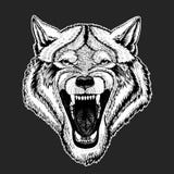 Dirigez le loup sauvage pour le tatouage, T-shirt, logo de sport illustration de vecteur Dirigez le loup sauvage pour le tatouage, T-shirt, logo de sport illustration de vecteur