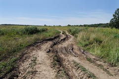 Dirt Road In The Meadow Royalty Free Stock Photos