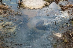 Spring puddle of water with blue sky reflection royalty free stock photos Spring puddle of water with blue sky reflection royalty free stock photos