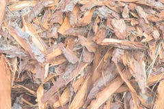 Discard from lumber industry Royalty Free Stock Photos Discard from lumber industry Royalty Free Stock Photos