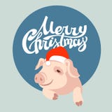 Diseño de la Feliz Navidad Tarjeta de felicitación cerdo plano ilustración del vector Diseño de la Feliz Navidad Tarjeta de felicitación cerdo plano ilustración del vector