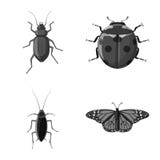 Diseño del vector de icono del insecto y de la mosca Sistema del ejemplo común del vector del insecto y del elemento ilustración del vector Diseño del vector de icono del insecto y de la mosca Sistema del ejemplo común del vector del insecto y del elemento ilustración del vector