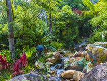 Disney-wereld Orlando Florida Animal Kingdom Pandora royalty-vrije stock foto Disney-wereld Orlando Florida Animal Kingdom Pandora royalty-vrije stock foto
