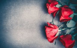Disposition de roses rouges sur le fond de bureau gris, vue supérieure Jour de valentines, datation et carte de voeux d'amour, an Disposition de roses rouges sur le fond de bureau gris, vue supérieure Jour de valentines, datation et carte de voeux d'amour, an