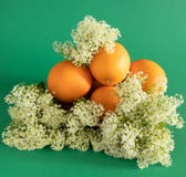 Disposition des oranges dans les wildflowers sauvages blancs sur un fond vert images stock Disposition des oranges dans les wildflowers sauvages blancs sur un fond vert images stock