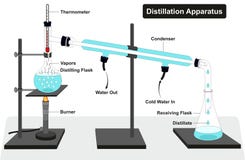 Distillation column thesis