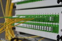 Distribution Panel Of Fiber Network With Optical Network Cables Royalty Free Stock Image