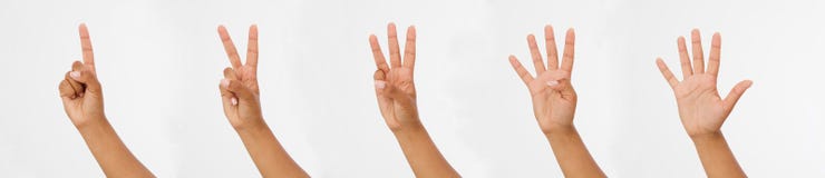 Dita di manifestazione della mano delle donne I punti del dito si chiudono su su fondo bianco Copi lo spase fotografia stock Dita di manifestazione della mano delle donne I punti del dito si chiudono su su fondo bianco Copi lo spase fotografia stock
