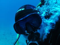 Diver Stock Images