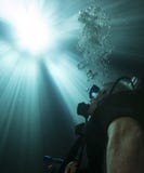 Diver Surfacing - Into The Light