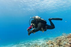 Diver swimming under water Stock Photos Diver swimming under water Stock Photos
