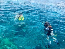 Divers in black diving waterproof suits with shiny metal aluminum canisters float, dive into the blue sea water on vacation, a sea stock image Divers in black diving waterproof suits with shiny metal aluminum canisters float, dive into the blue sea water on vacation, a sea stock image