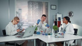 Diverse team of research scientists observing collegue's experiment with liquid in conical flask. stock footage Diverse team of research scientists observing collegue's experiment with liquid in conical flask. stock footage