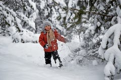 Divertimento di inverno il ragazzo da solo vaga attraverso la foresta nevosa dell'inverno Fotografie Stock Divertimento di inverno il ragazzo da solo vaga attraverso la foresta nevosa dell'inverno Fotografie Stock