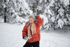 Divertimento di inverno il ragazzo da solo vaga attraverso la foresta nevosa dell'inverno Immagine Stock Libera da Diritti Divertimento di inverno il ragazzo da solo vaga attraverso la foresta nevosa dell'inverno Immagine Stock Libera da Diritti