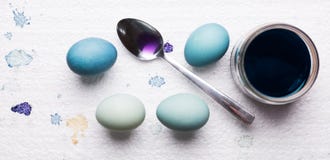 DIY dyed using red cabbage various shades of blue easter eggs drying on piece of polystyrene. DIY Happy Easter. royalty free stock photography DIY dyed using red cabbage various shades of blue easter eggs drying on piece of polystyrene. DIY Happy Easter. royalty free stock photography